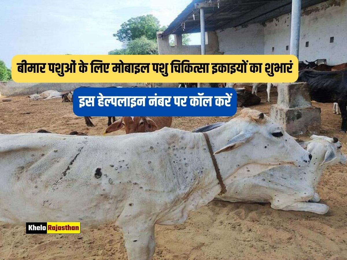 Rajasthan news: