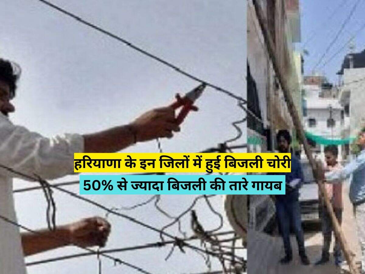 हरियाणा के इन जिलों में हुई बिजली चोरी, 50% से ज्यादा बिजली की तारे गायब 