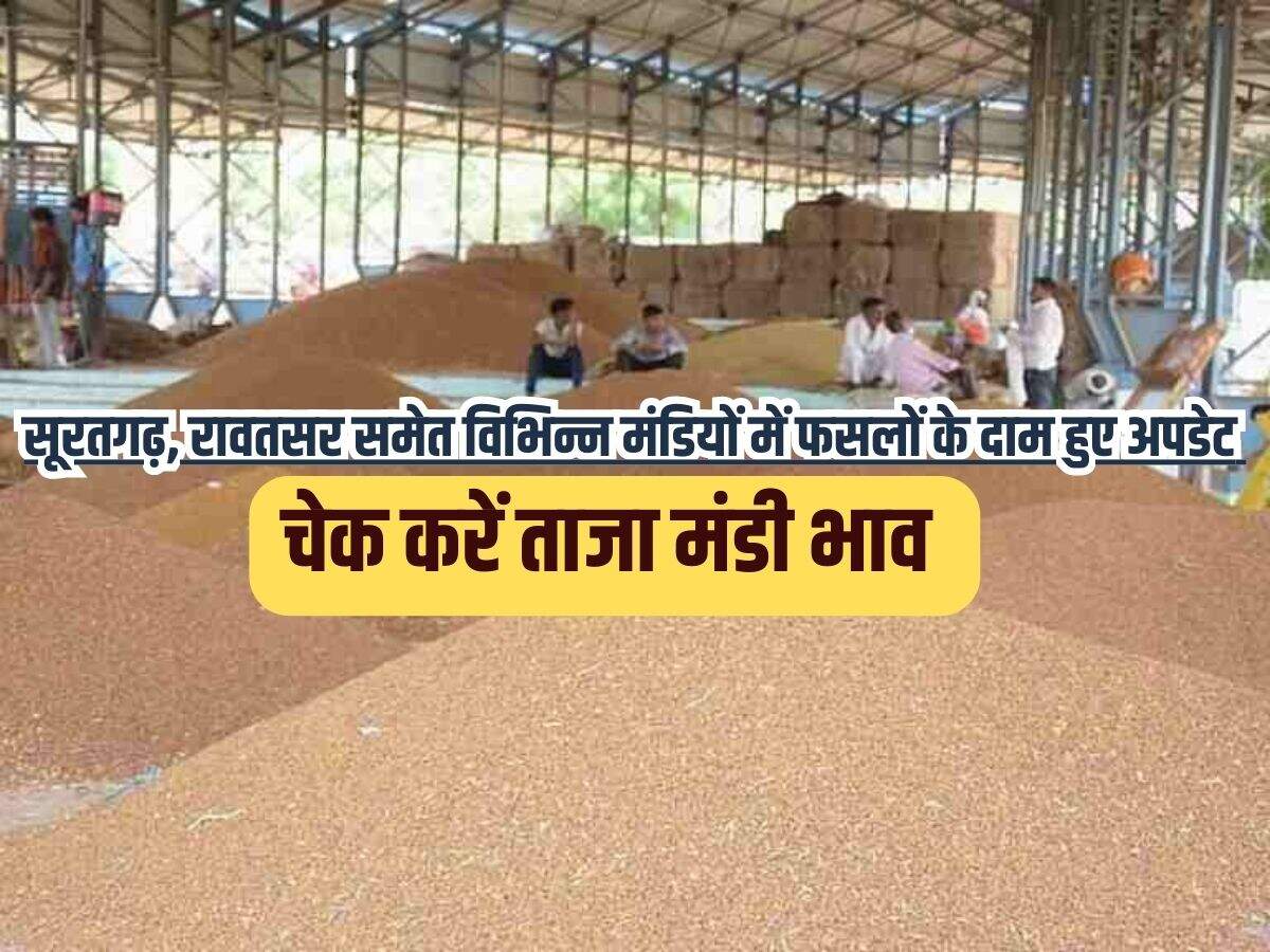 Rajasthan Mandi Bhav