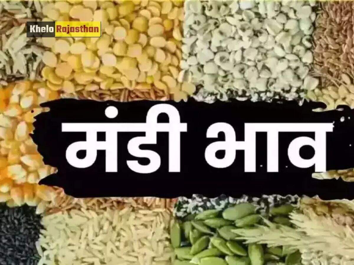 Aaj Ka Mandi Bhav: 
