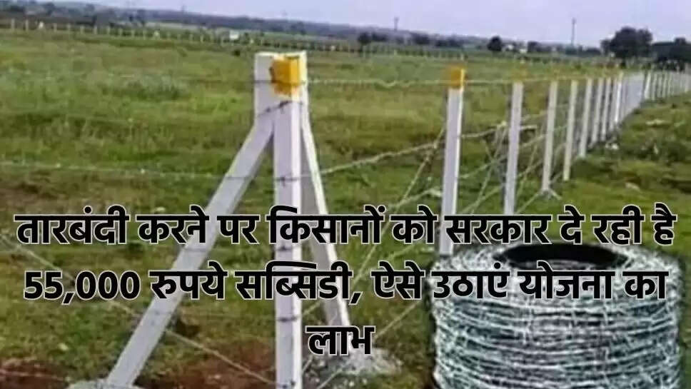 तारबंदी योजना