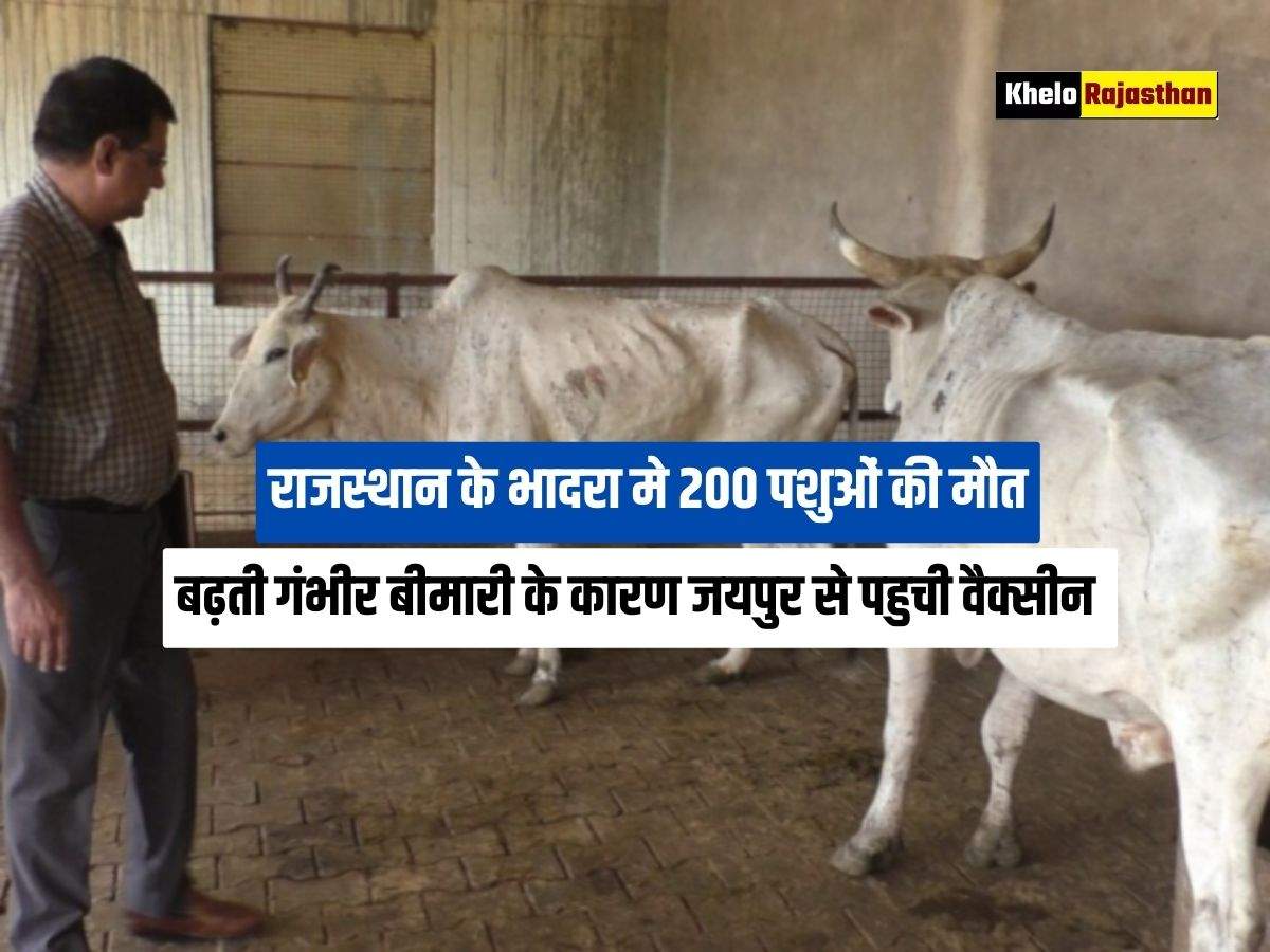 Rajasthan News :