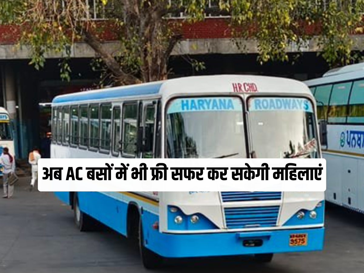 Haryana News: 