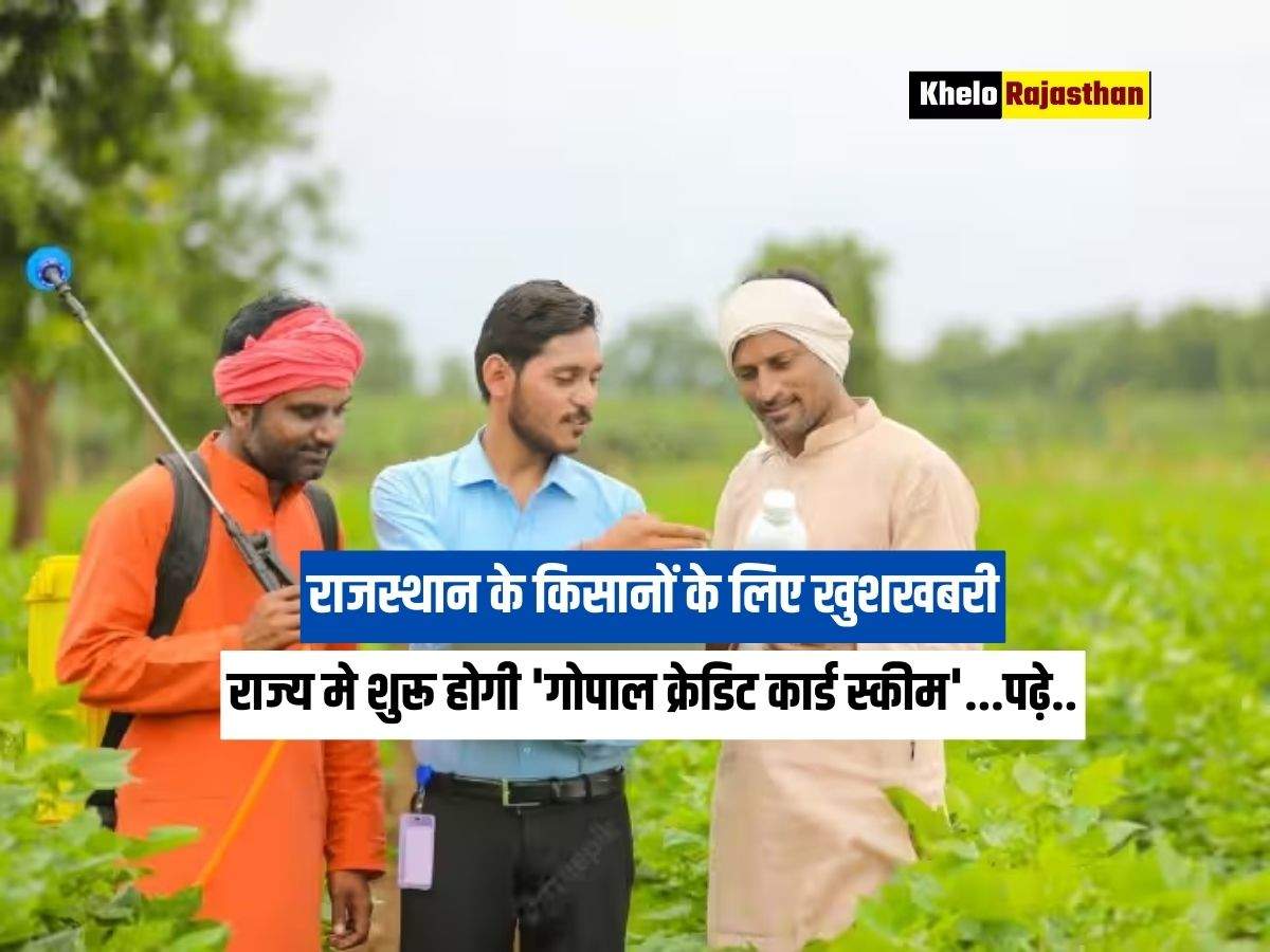 Rajasthan News : 