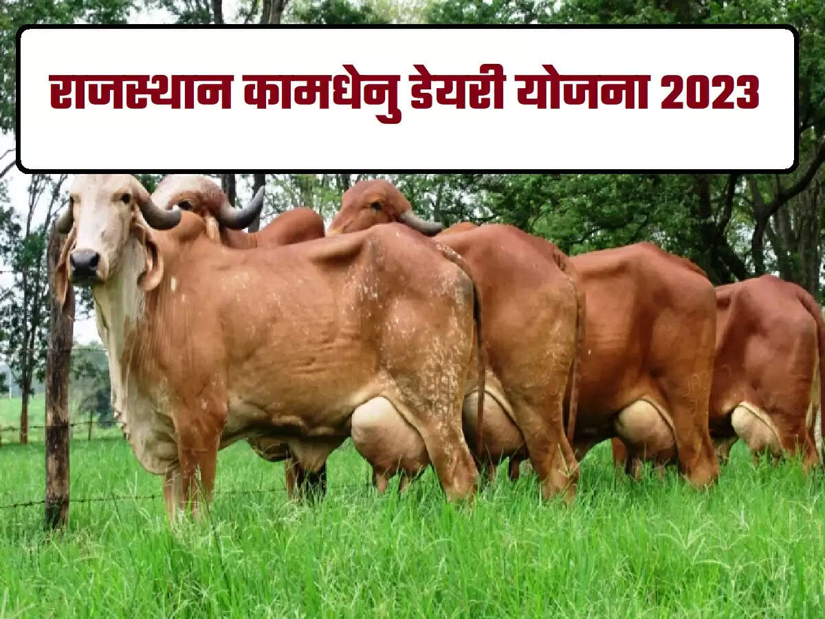 Rajasthan Kamdhenu Dairy Yojana 2023