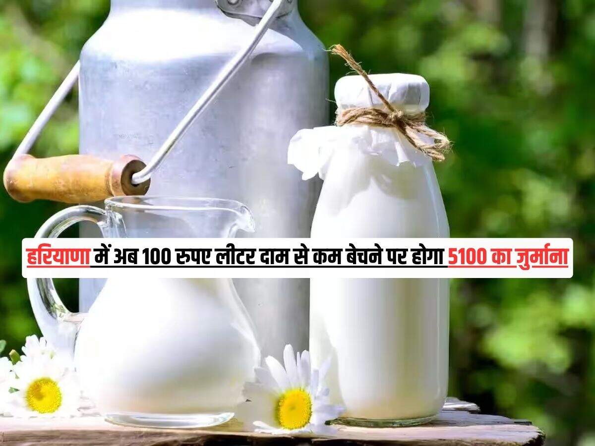 Haryana Milk Update: