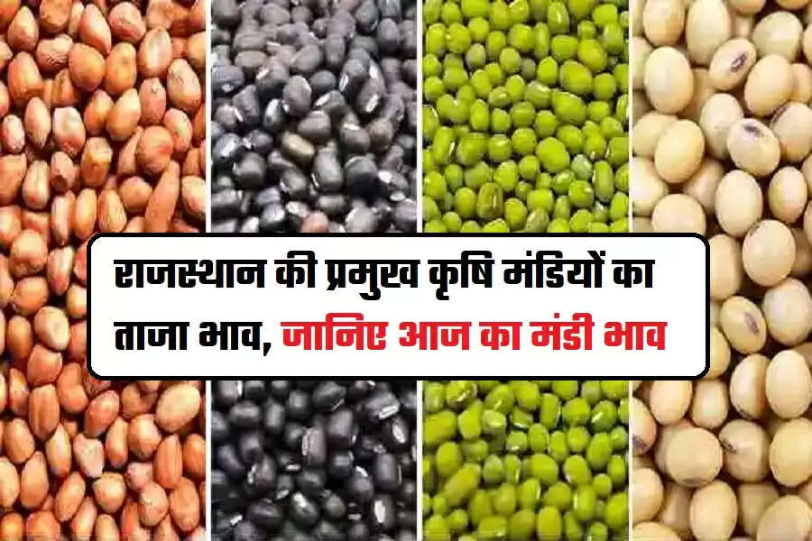 Mandi Bhav Rajasthan :